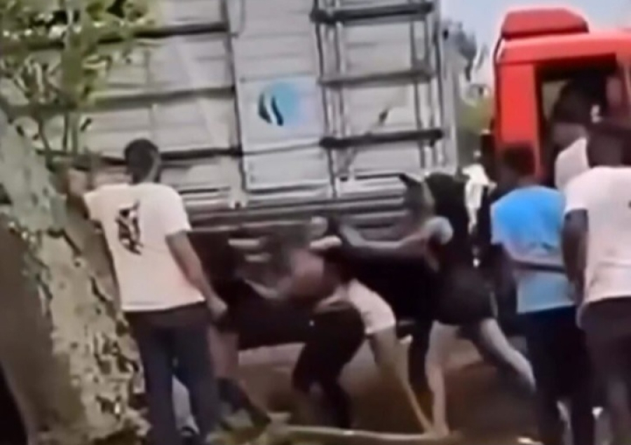 Mulher flagra namorado vaqueiro com dois travestis dentro de caminhão 