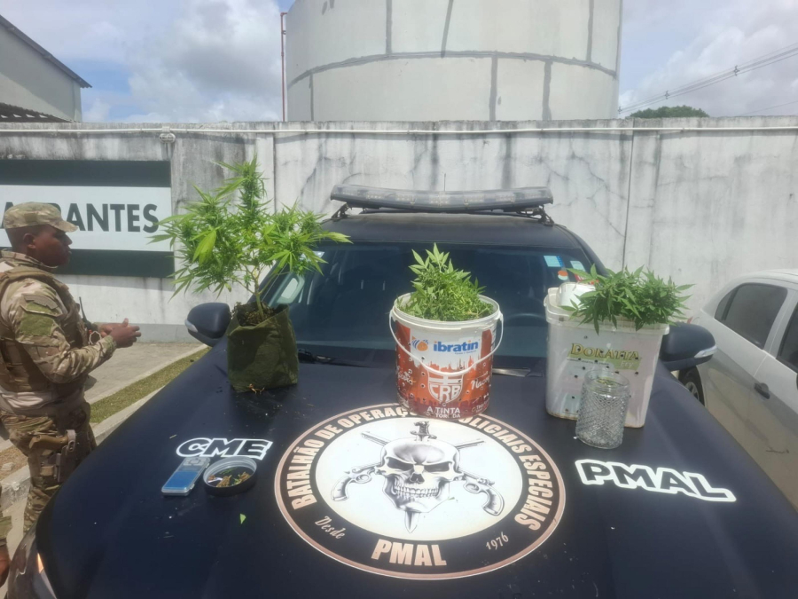 Polícia Militar apreende 5kg de drogas e descobre plantação de maconha em Maceió