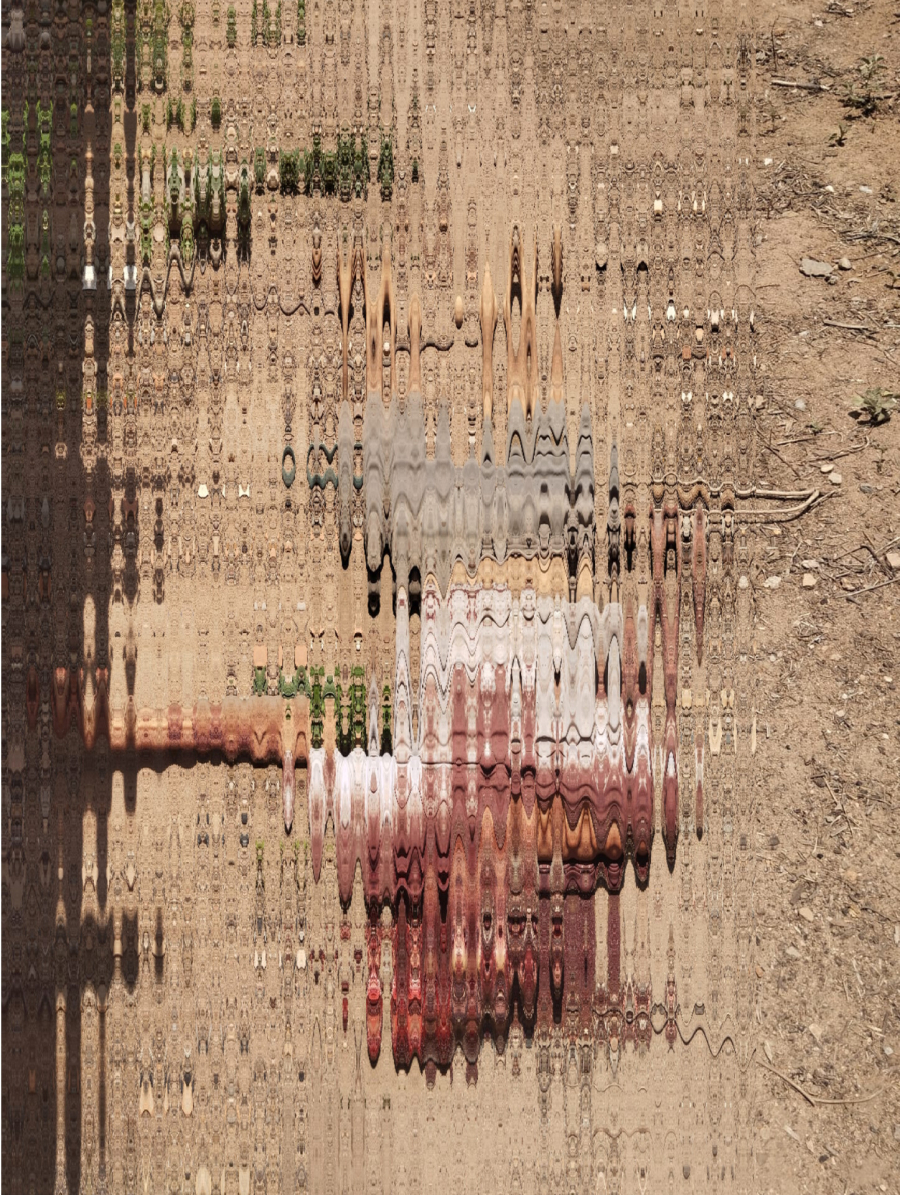 Idoso de 67 anos ataca e esmaga a cabeça do irmão de 68 anos que morre após o ataque em Água Branca