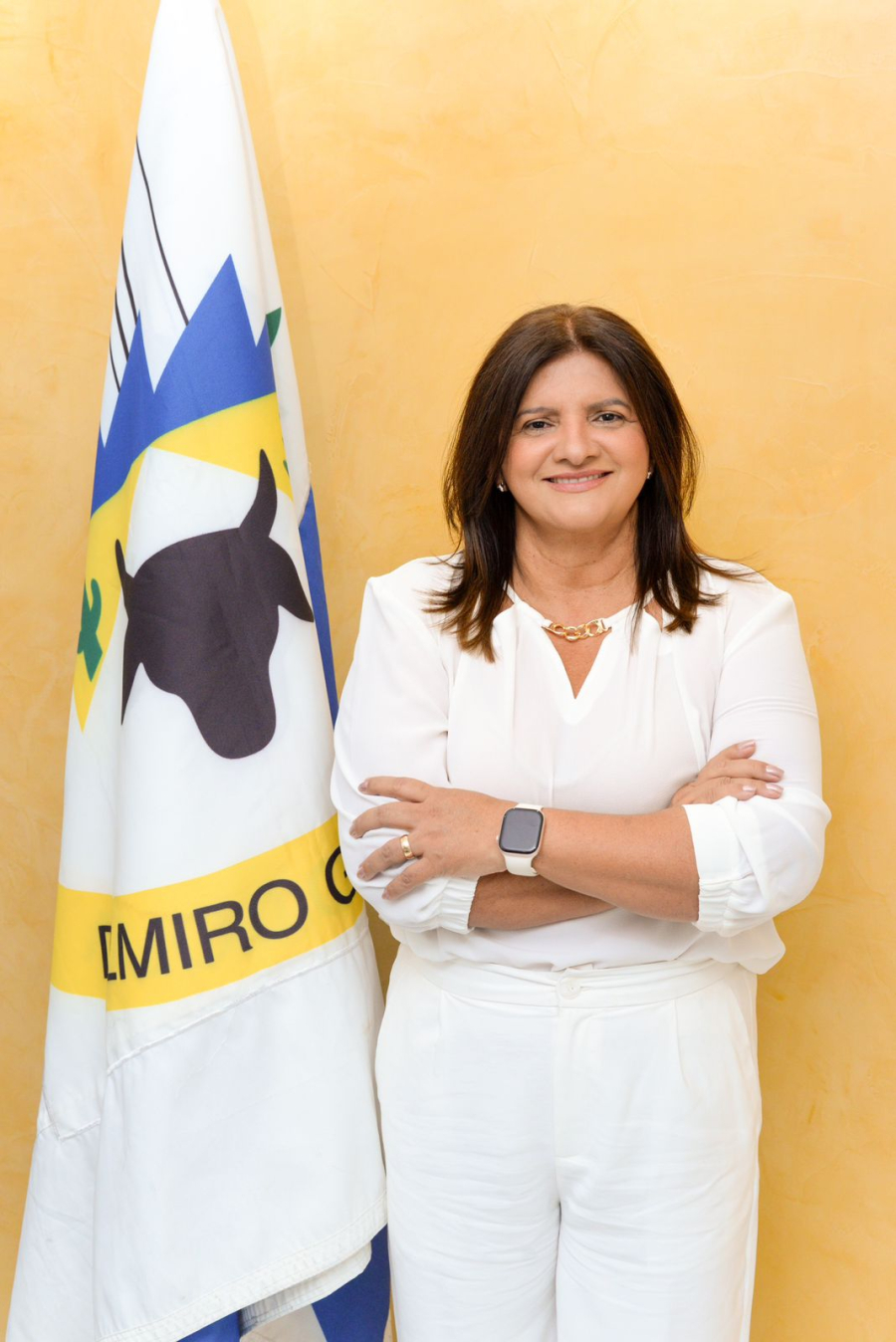 Câmara aprova em caráter de urgência o programa 