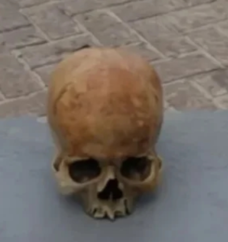 Turista encontra um crânio humano na orla de Maceió