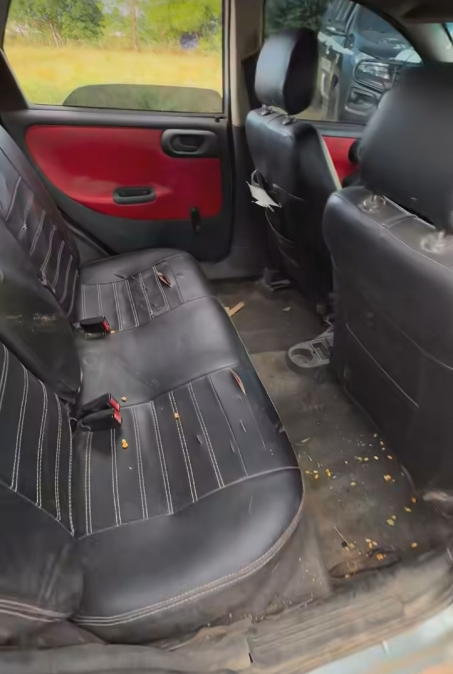 Ladrão de ovelhas é identificado em Mata Grande em uma ação da Polícia Civil e Militar de Alagoas