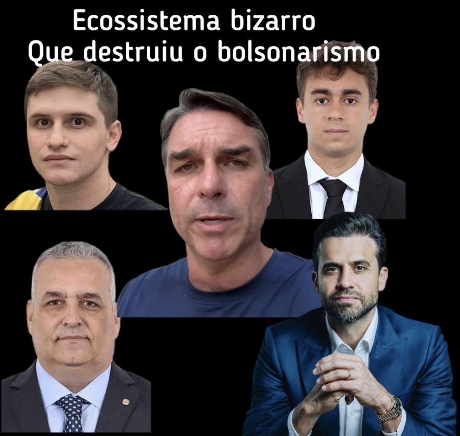 Figuras esdrúxulas como Pavanato, Nikolas , Alfredo Gaspar, Marçal, Julia Zanatta com seu chicote, dentre outros, ajudaram na queda do bolsonarismo