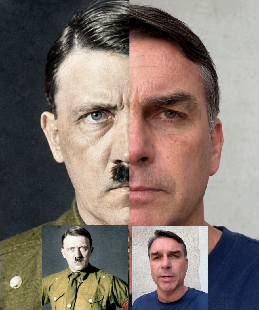 Análise Comparativa entre as características do Nazismo e o Bolsonarismo